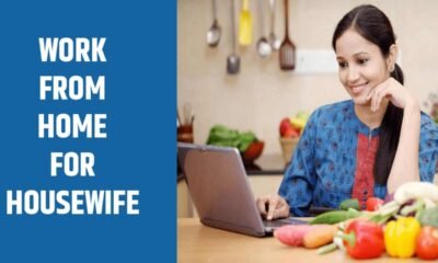 Work From Home For Housewife